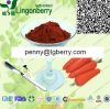 Radish Red Pigment / Radish extract powder