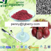 Beet root red / Beet red pigment