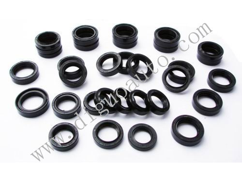 Di guo auto O molding ring