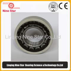 Electrically Insulated Bearing Manufacturer 95x170x32mm