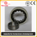 Electrically Insulated Bearing Manufacturer 95x170x32mm