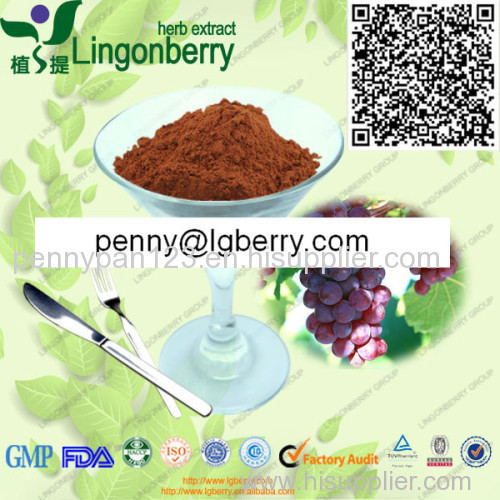 100% natural Grape Seed Extract OPC / Grape seed powder (Proanthocyanidins)