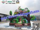 Custom Animal Inflatable Slide / Inflatable Dry Slide with Fire Resistant