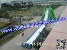 Giant Inflatable Water Slide For Adult , Hippo Inflatable Slide In Amusement Park
