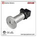 Flush Diaphragm Pressure Transmitter OEM