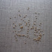 0.8mm - 50.8mm Brass Ball