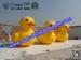 Customized Inflatable Yellow Duck for Advertising