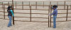 powder coated horse fence panel for livestock farming