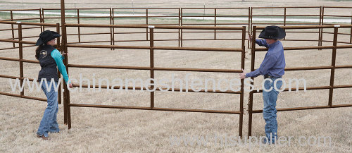 powder coated horse fencing PVC coated horse panel powder coated livestock fence