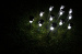 Cixi landsign garden outdoor lights