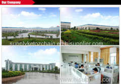 Jiangxi Hengjiu Chain Transmission Co., Ltd