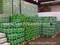 Heineken beer/ Bavaria Beer/ Meister Beer/ Carlsberg Beer/