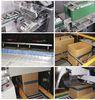 Horizontal Corrugated Carton Packing Machine Fully Automatic For Cosmetic Products