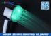 Water Saving Green Single Color LED Rain Shower Head Hand Held Raindrop