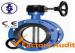 DIN / API / AWWA U Type Butterfly Valve , Double Flanged Butterfly Valves 5 Inch