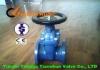 Stainless Steel Resilient Wedge Gate Valve High Temperature Worm Gear Operated