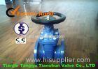 Stainless Steel Resilient Wedge Gate Valve High Temperature Worm Gear Operated