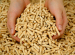 China Straw Pellet Machine/Straw Pellet Mill/2014 New Design Straw Pellet Machine