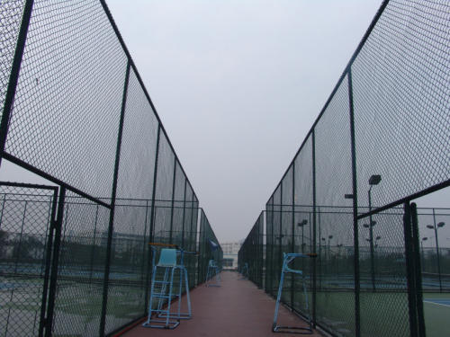chain link fencing.powder coated chain link mesh