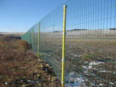 Euro fence--good corrosion resistance