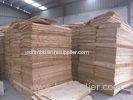 Black Phenolic Film Faced Plywood Hot-Pressing , 1220mm x 2440mm x 10mm