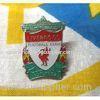 Iron / Brass sports lapel pins badges Custom Badges , metal football badge