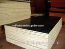 Marine black Film faced veneer plywood sheet eucalyptus core for construction formwork