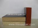 Laminated eucalyptus brown film faced plywood / melamine faced chipboard for construction