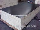 Film Faced Concrete Plywood Poplar Core With Phenolic Glue 2440 X 1220 X 15mm