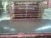 Recycled Concrete Plywood For Formwork / Construction With Hardwood Veneer Core