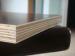Black / Brown Shuttering Plywood With Wbp Glue , Combined Poplar / Hardwood Core