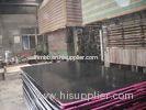High Strength Construction Black Film Faced Plywood , Finger-Jointed FFP