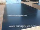 Anti-slip Black Film Faced Plywood Waterproof For Construction 1220x2440 / Mr Glue