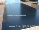 Anti-slip Black Film Faced Plywood Waterproof For Construction 1220x2440 / Mr Glue