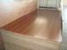 Multi Color Melamine MDF Board