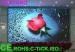 P5 Large Viewing Angle Energy -Saving Driving Voltage 5VDC Indoor LED Display