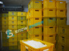 China Snow Amber 10T-20T competitive tube ice machine