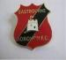 Fashion Custom Badges metal pin badge 0.5mm to 3 mm Thickness