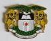 Laser plating Metal pin badges , Iron Zinc alloy Custom Badges with Matt Nickel