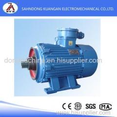 YBJ series flameproof three-phase asynchronous motor