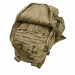 MOLLE 3 Day Assault Pack Backpack