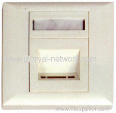 2 Ports St Styleiber Optic Faceplate
