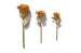 24k Gold Foil Rose Flower Pink Forever Love Box Metal Rose Gold Valentines Gift