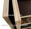 Poplar Construction Plywood Sheets