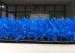 Coloured Artificial Grass For Playgrounds / Blue Artificial Grass Carpet