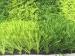 50mm Backyard Artificial Grass For School Playground / Big Stadium PE PP