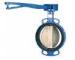 Custom Ductile Cast Iron Lug And Wafer Type Butterfly Valve DN40 - DN600