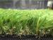 Artificial Grass Flooring / Buffalo Grass Lawn 35mm W shape Monofil PE 11500Dtex