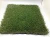 Four Color Monofil PE Yarn Garden Faux Grass Rug 35mm For Home Leisure