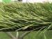 Olive Green UV Resistance Soccer Artificial Grass , Artificial Sports Turf